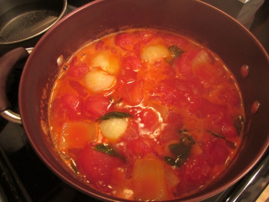 TomatoSoup1
